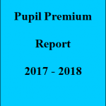 Pupil P report pic